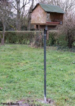 Mangeoire placée sur un poteau métallique suffisamment haut Mangeoire placée sur un poteau métallique suffisamment haut