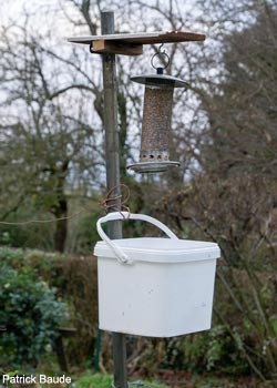 Seau placé sous une mangeoire et attaché à un poteau Seau placé sous une mangeoire et attaché à un poteau