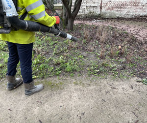 Les souffleurs de feuilles sont bruyants et sont néfastes à la litière