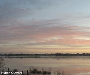 Vue sur le marais de Grée (Loire-Atlantique) inondé
