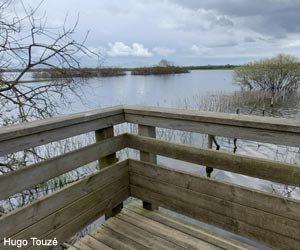 Vue sur le marais de Grée (Loire-Atlantique) inondé