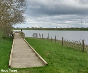 Passerelle d'observation à l'ouest du  marais de Grée (Loire-Atlantique)