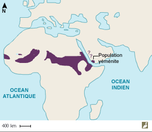 Aire de répartition maximum de l'Outarde arabe (Ardeotis arabs)