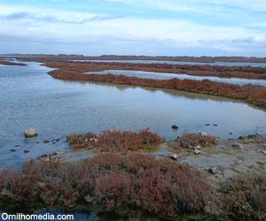Vue de l'étang d'Ingril (Hérault)