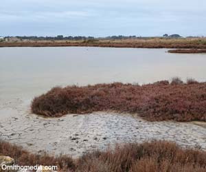 Vue des Salines de Villeneuve (Hérault)