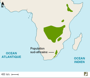 Aire de répartition de la Grue caronculée (Bugeranus carunculatus)
