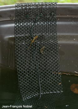 Dispositif échappatoire pour la faune