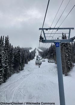 Les câbles des remontées mécaniques peuvent être dangereux pour les gallinacés de montagne