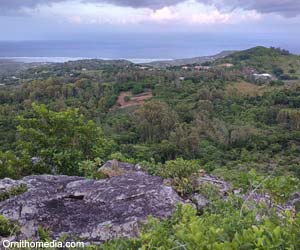 Point de vue sur la côte orientale de Rodrigues dans la réserve naturelle de Grande Montagne 