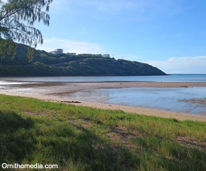 Vasière sur la côte nord de l'île Rodrigues