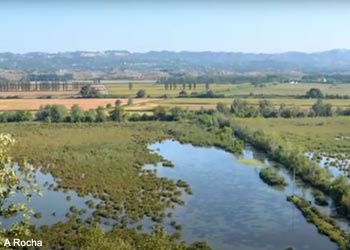 Vue générale du marais de l'Ilon, dans la vallée des Baux (Bouches-du-Rhône)