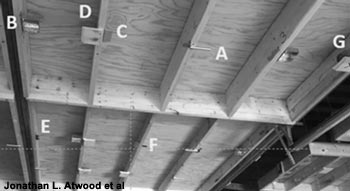 Vue de la charpente du hangar à bateaux