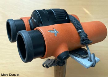 Détail de la platine du bâton finlandais