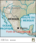 Situation de la forêt de Lacandona, dans l'État du Chiapas (Mexique)