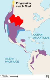 Aire de répartition du Chardonneret mineur (Spinus psaltria)