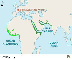 Aire de nidification de l'Aigrette des récifs (Egretta gularis)