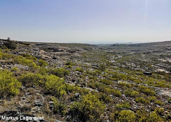 Plateau d'Al Habala (Arabie saoudite)