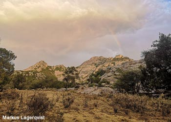 Zone ouverte au nord du parc touristique de Mahfar (Arabie saoudite)