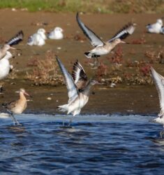 34ème Festival International des Écrans de l’Aventure