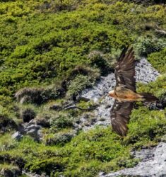20ème Festival Nature des Réserves Naturelles Catalanes