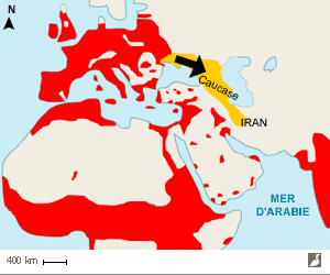 Aire de répartition européenne de l'Effraie des clochers (Tyto alba)