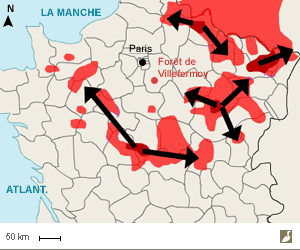 Aire de nidification de la Cigogne noire (Ciconia nigra) en France et axes de progression de la population