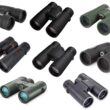 Un test comparatif de 30 modèles de jumelles 8×42 économiques et de milieu de gamme organisé par le Cornell Lab of Ornithology