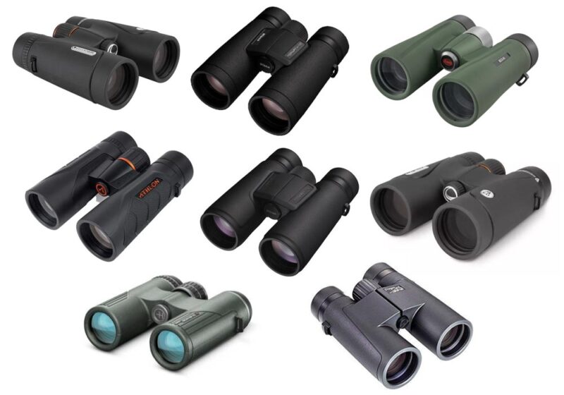 Un test comparatif de 30 modèles de jumelles 8×42 économiques et de milieu de gamme organisé par le Cornell Lab of Ornithology