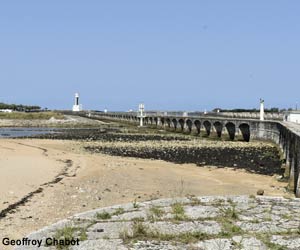 Vasière devant la capitainerie d'Anglet (Pyrénées-Atlantiques)
