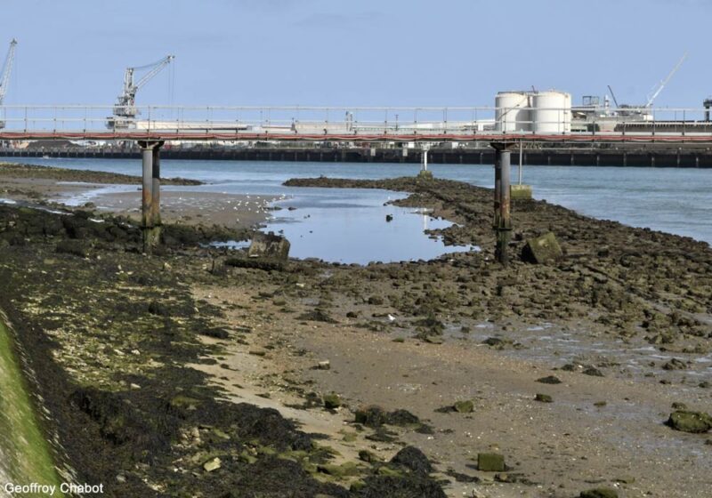 Où observer les oiseaux dans la zone portuaire de Bayonne-Anglet-Boucau-Tarnos (Pyrénées-Atlantiques/Landes) ?