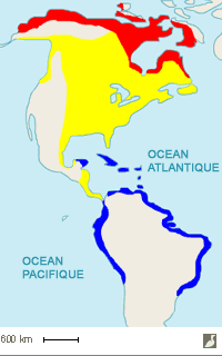 Aire de répartition du Bécasseau semipalmé (Calidris pusilla)