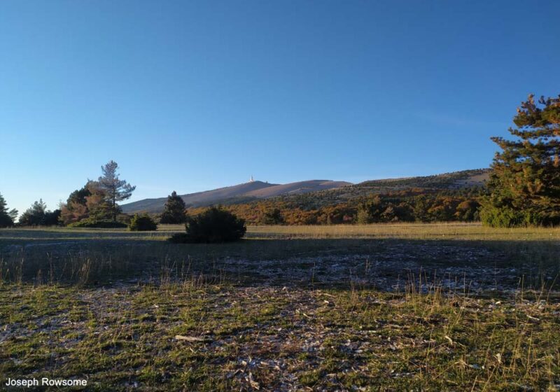 Joseph Rowsome nous en dit plus sur la migration postnuptiale sur le mont Ventoux (Vaucluse), un site de suivi sous-estimé