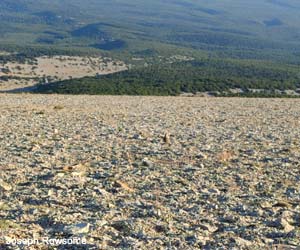 Vue de la plaine des Ermitants 