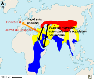 Aire de répartition de l'Aigle des steppes (Aquila nipalensis) Aire de répartition de l'Aigle des steppes (Aquila nipalensis)