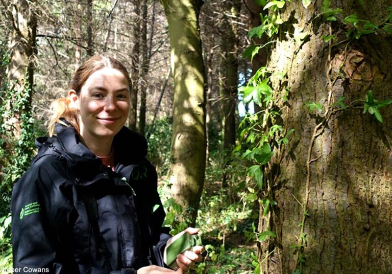 Amber Cowans (CREEM) : utiliser des enregistreurs et l’IA pour évaluer l’impact des promeneurs sur l’activité vocale des oiseaux forestiers écossais