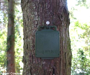 Enregistreur autonome Song Meter Micro de Wildlife Acoustics