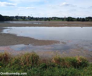 Vue du lac de Haute-Mayenne (Mayenne) Vue du lac de Haute-Mayenne (Mayenne)