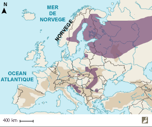 Aire de répartition de la Chouette de l'Oural (Strix uralensis) en Europe