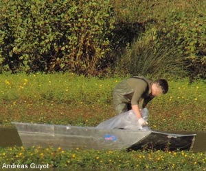 Récupération d'un cadavre de Grue cendrée (Grus grus)