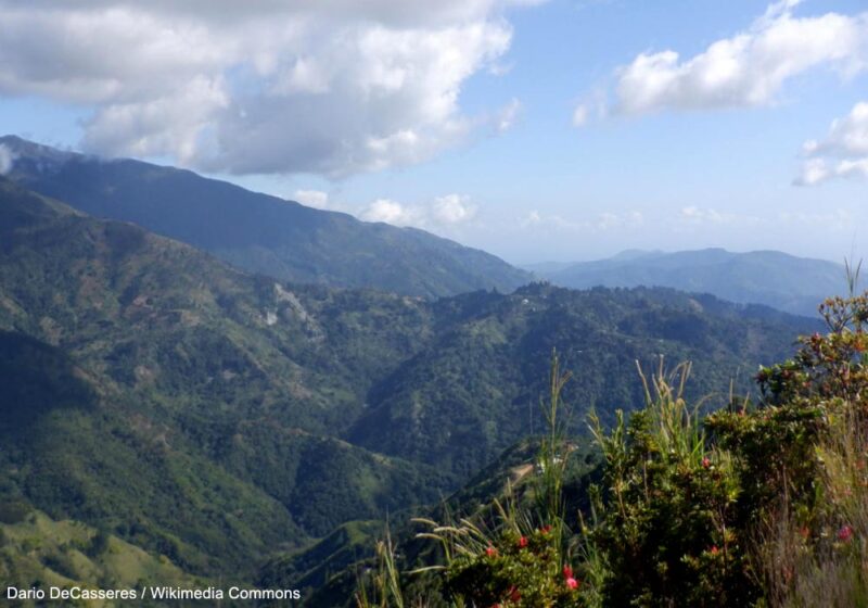 Séjour en 2024 à la Jamaïque, la terre du bois, de l’eau et des oiseaux endémiques
