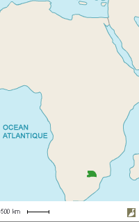 Aire de répartition de l'Alouette de Botha (Spizocorys fringillaris)