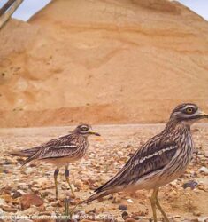 17ème édition des Rencontres Naturalistes d’Île-de-France