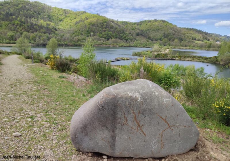 Observer les oiseaux dans la réserve départementale d’Argentat-sur-Dordogne (Corrèze), d’anciennes gravières au fort potentiel ornithologique