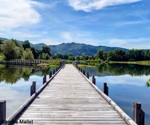Sentier de découverte de la réserve départementale de biodiversité d’Argentat-sur-Dordogne (Corrèze)