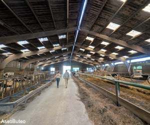 Visite d'une exploitation agricole