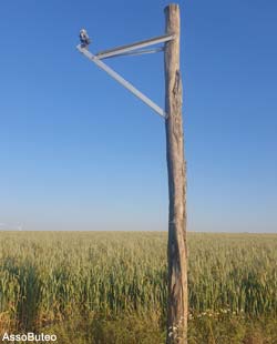 Un exemple de super-perchoir