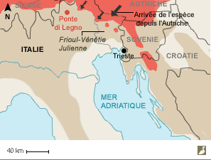 Répartition du Pic tridactyle en Italie