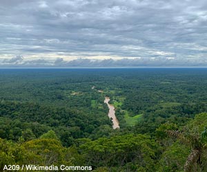 Vue du rio Moa (Brésil)
