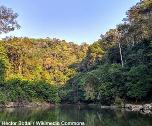 Vue du rio Moa (Brésil)