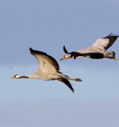 30ème festival Nature et Environnement Les Hivernales